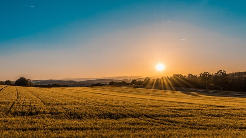 Smart Crop Advisory